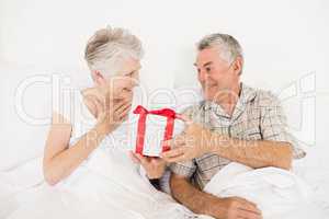 Happy couple exchanging gift