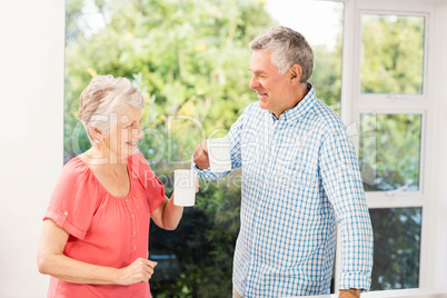 Happy senior couple toasting with cups