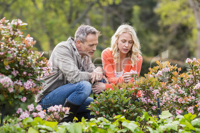 Cute couple looking at flowers