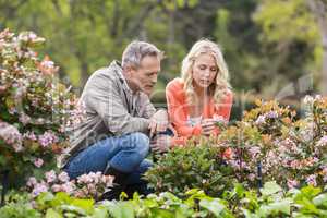 Cute couple looking at flowers