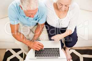 Smiling senior couple using laptop
