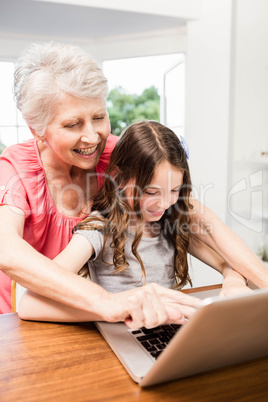 Portrait of smiling grandmother and granddaughter using laptop