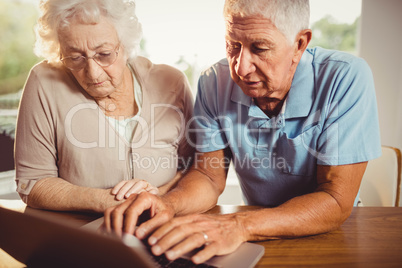 Senior couple using laptop