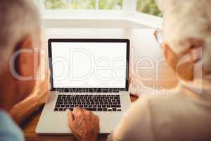 Rear view of senior couple using laptop