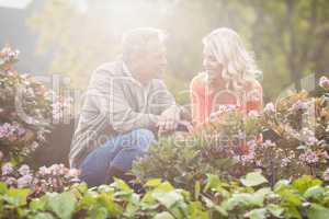 Cute couple looking at flowers