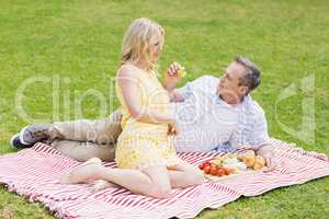 Happy couple having a picnic