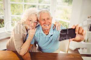 Smiling senior couple taking selfie