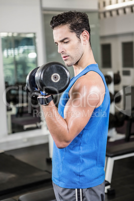 Muscular man lifting dumbbell Muscular man lifting dumbbell