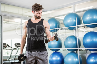 Concentrated man lifting dumbbells