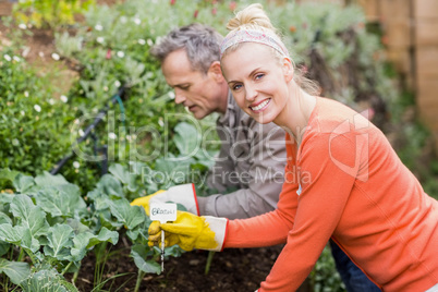 Cute couple doing some gardening