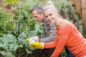 Cute couple doing some gardening