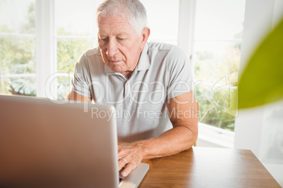 Serious senior man using his laptop