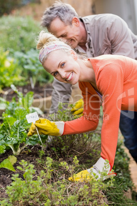 Cute couple doing some gardening