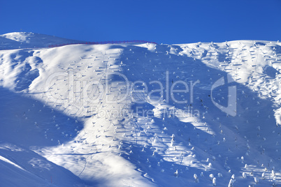 Off-piste slope with little fir after snowfall at early morning