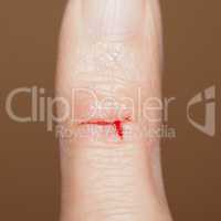 Paper cut with blood
