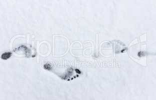 barefoot in winter