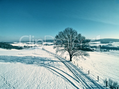 Schneelandschaft mit Baum