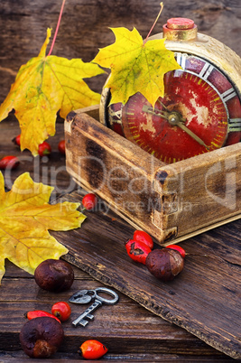 old alarm clock in the autumn style