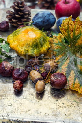 Autumn still life