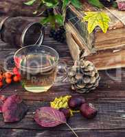 naturemort tea in autumn