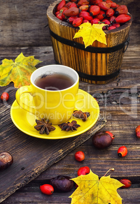 Tea with fruits of dog-rose
