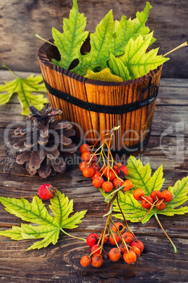 Autumn still life.