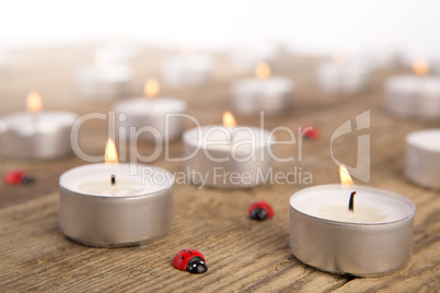 Candles with ladybugs