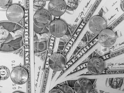 Black and white Dollar coins and notes Black and white Dollar coins and notes
