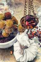 Harvesting medicine herbs