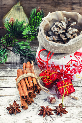 Christmas bag with pine cones