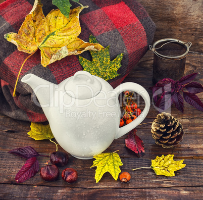 Autumn still life with kettle