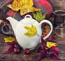 Autumn still life with kettle