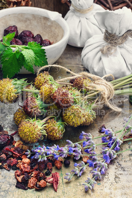 Still life with harvest medicinal herbs