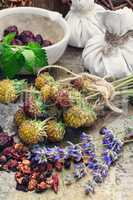 Still life with harvest medicinal herbs