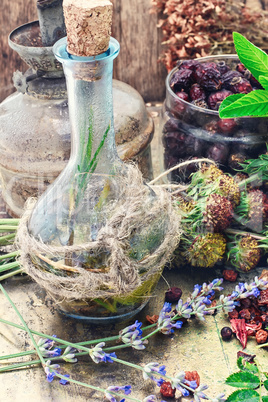 Still life with harvest medicinal herbs