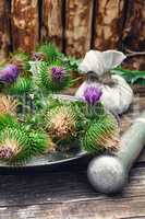 Still life with harvest medicinal herbs