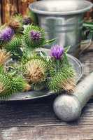 Still life with harvest medicinal herbs