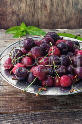 pile of berries cherries