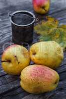 Autumn harvest of pears