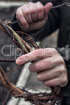 Weaving wreath of vines