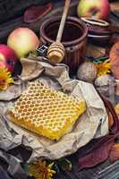 Still life with honeycombs