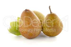 Three ripe pears