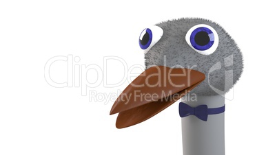 Funny Ostrich head