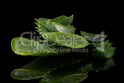 Sliced aloe leaf