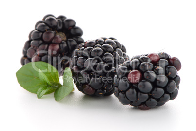 Blackberries with leaves