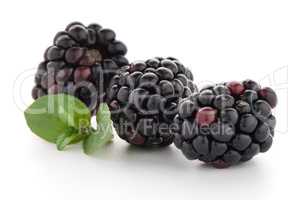 Blackberries with leaves