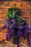 fragrant lavender