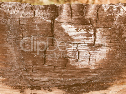 Burned wood vintage
