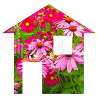 Flower house