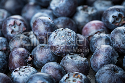 Blueberries background